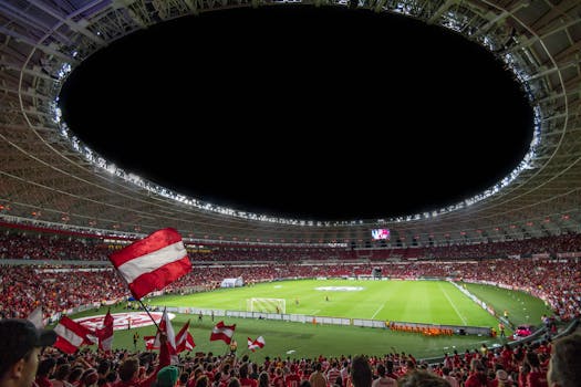Soccer fans cheering at a stadium